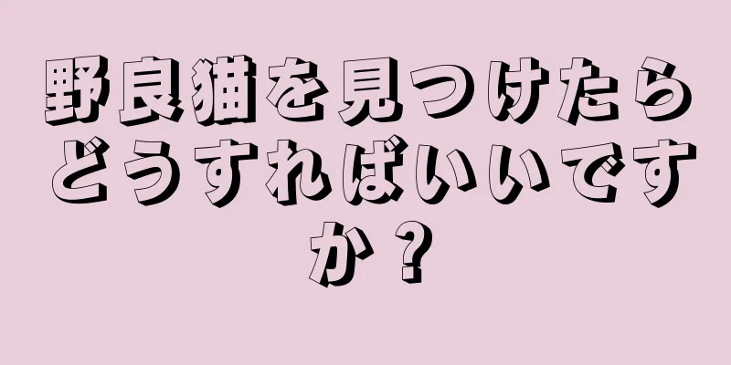 野良猫を見つけたらどうすればいいですか？