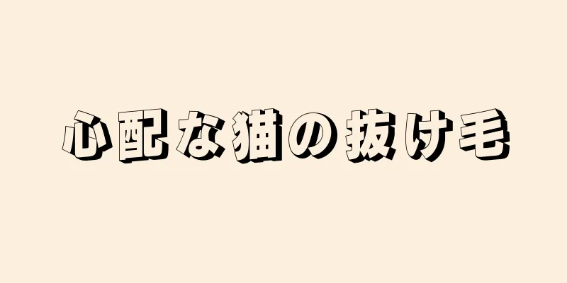 心配な猫の抜け毛