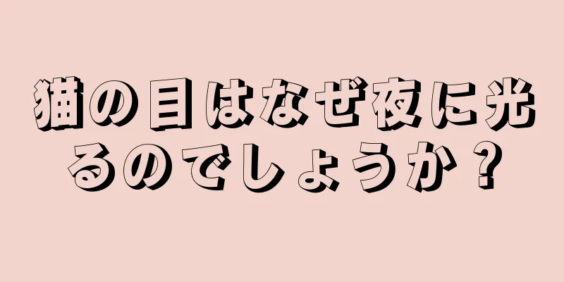 猫の目はなぜ夜に光るのでしょうか？
