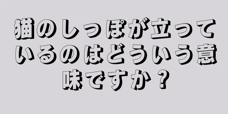 猫のしっぽが立っているのはどういう意味ですか？