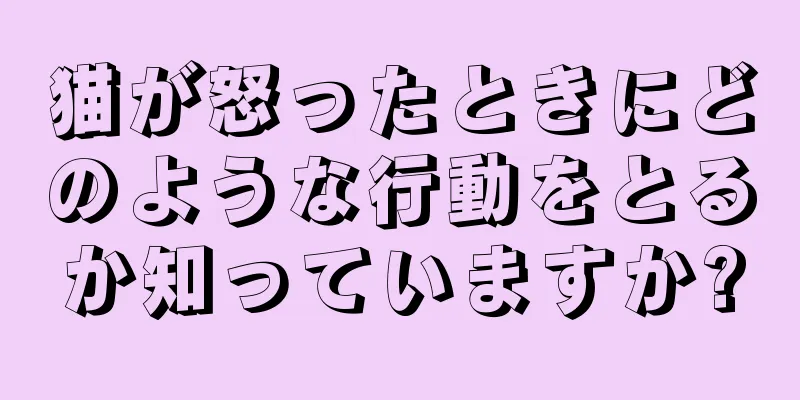 猫が怒ったときにどのような行動をとるか知っていますか?