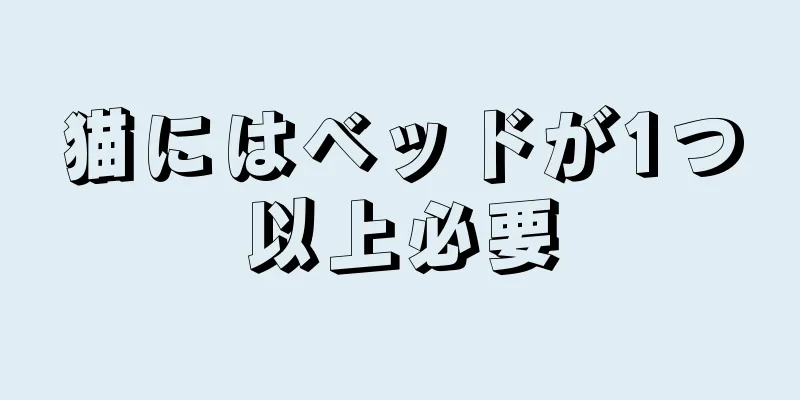 猫にはベッドが1つ以上必要