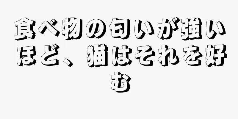 食べ物の匂いが強いほど、猫はそれを好む