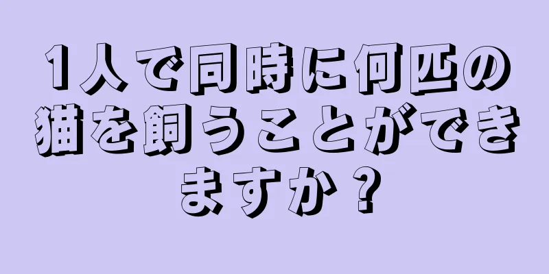 1人で同時に何匹の猫を飼うことができますか？