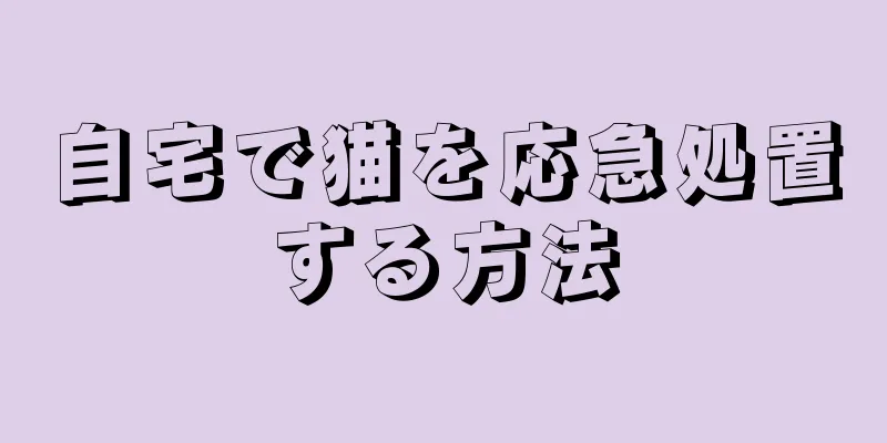 自宅で猫を応急処置する方法