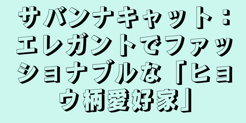 サバンナキャット：エレガントでファッショナブルな「ヒョウ柄愛好家」