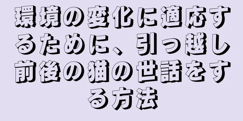 環境の変化に適応するために、引っ越し前後の猫の世話をする方法