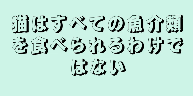 猫はすべての魚介類を食べられるわけではない