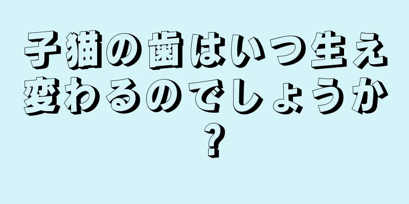 子猫の歯はいつ生え変わるのでしょうか？