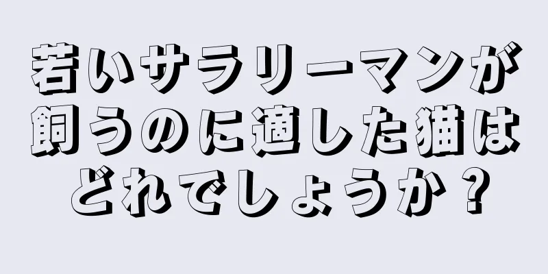 若いサラリーマンが飼うのに適した猫はどれでしょうか？