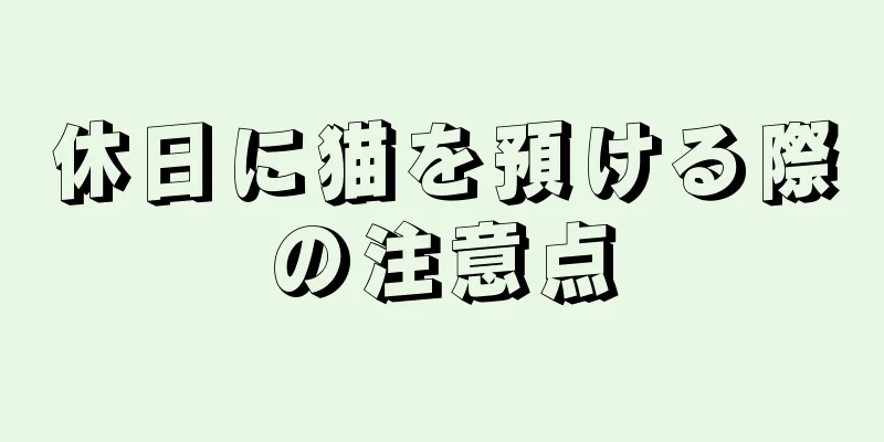 休日に猫を預ける際の注意点