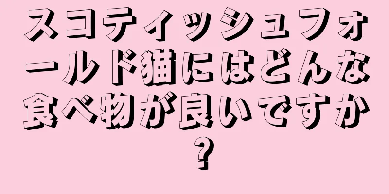 スコティッシュフォールド猫にはどんな食べ物が良いですか？