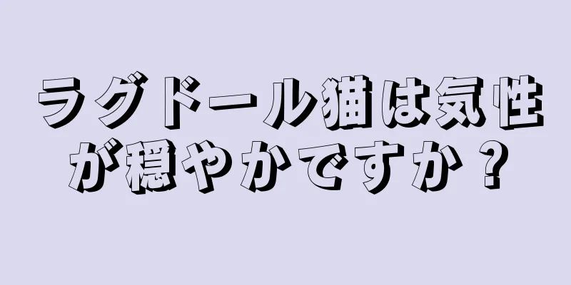 ラグドール猫は気性が穏やかですか？