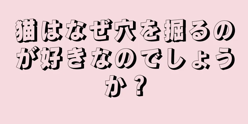 猫はなぜ穴を掘るのが好きなのでしょうか？
