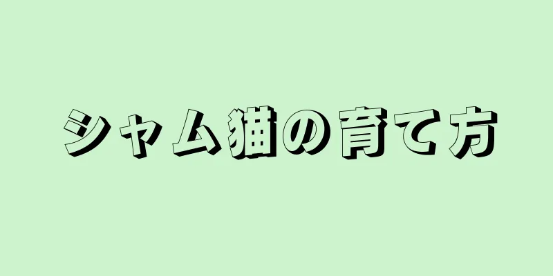 シャム猫の育て方
