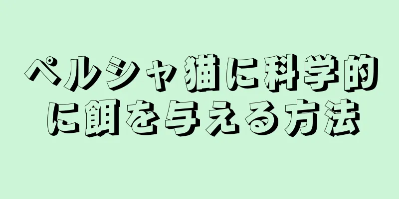 ペルシャ猫に科学的に餌を与える方法