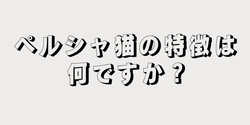ペルシャ猫の特徴は何ですか？