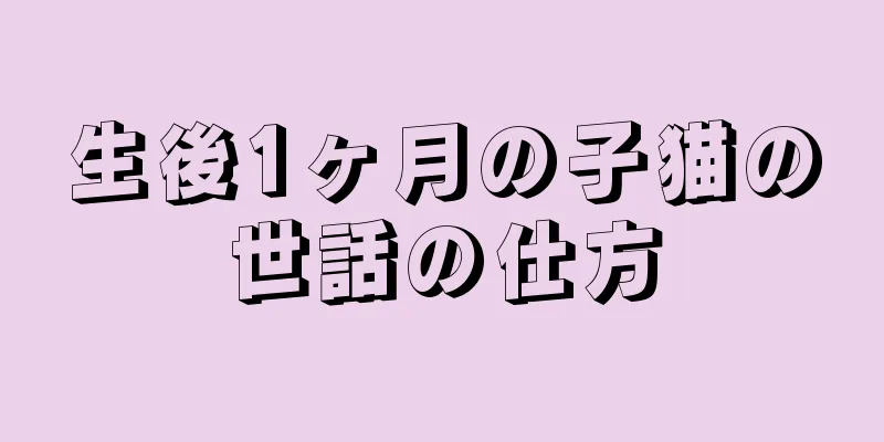 生後1ヶ月の子猫の世話の仕方