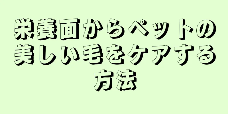栄養面からペットの美しい毛をケアする方法