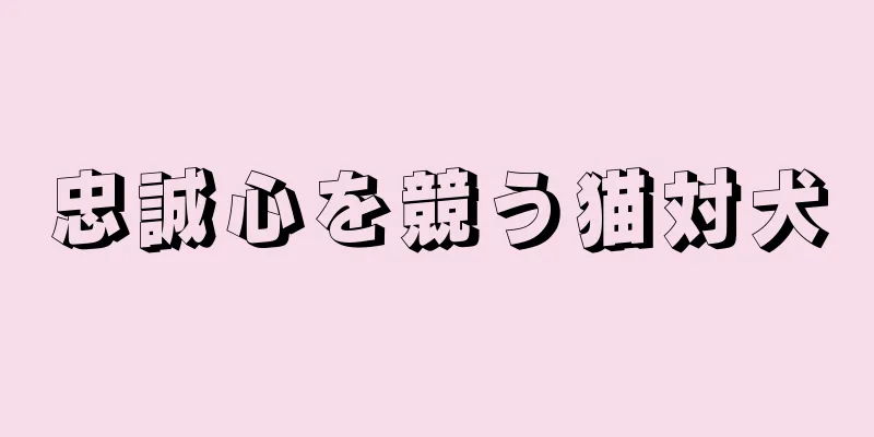 忠誠心を競う猫対犬