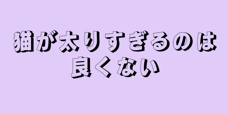 猫が太りすぎるのは良くない