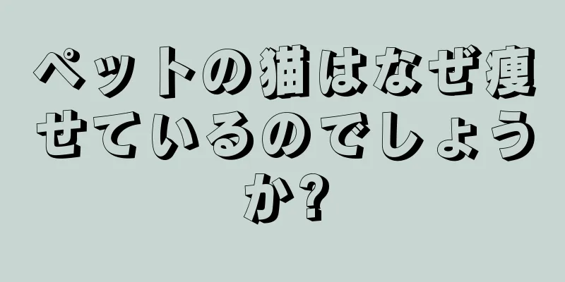ペットの猫はなぜ痩せているのでしょうか?