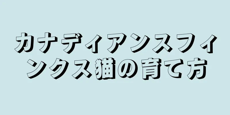 カナディアンスフィンクス猫の育て方