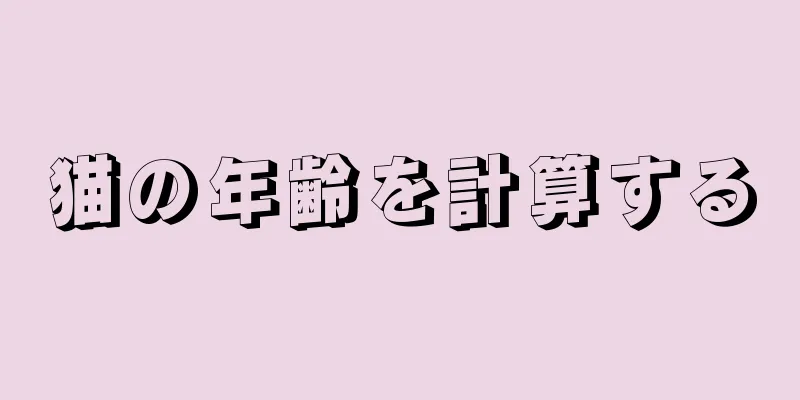 猫の年齢を計算する