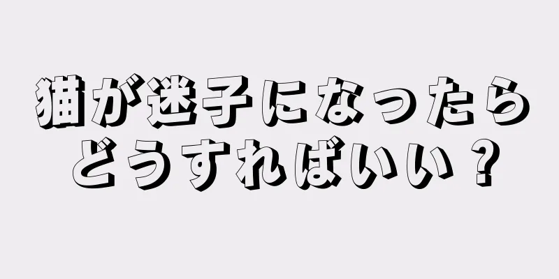 猫が迷子になったらどうすればいい？