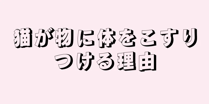 猫が物に体をこすりつける理由