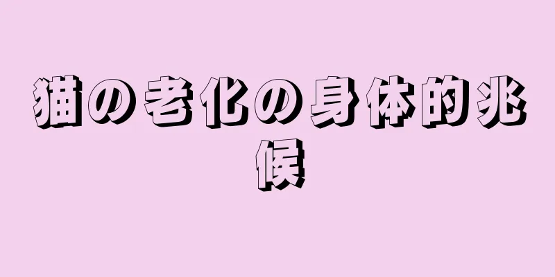 猫の老化の身体的兆候