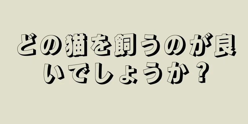 どの猫を飼うのが良いでしょうか？