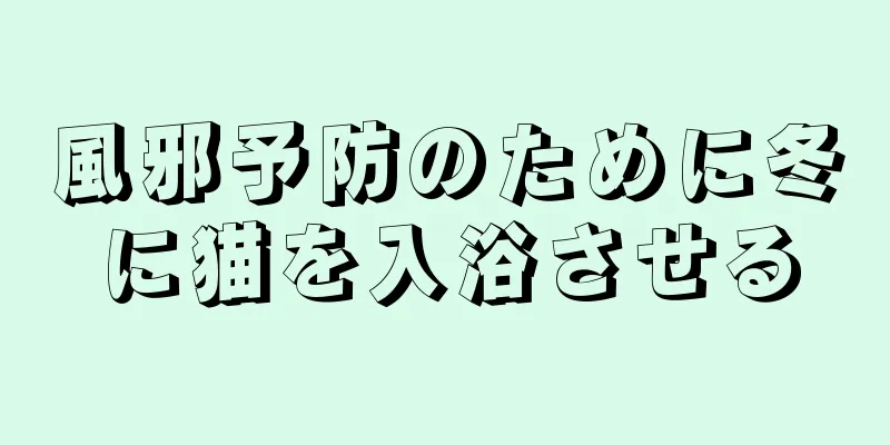 風邪予防のために冬に猫を入浴させる