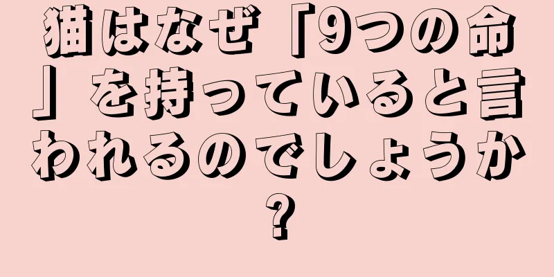 猫はなぜ「9つの命」を持っていると言われるのでしょうか?