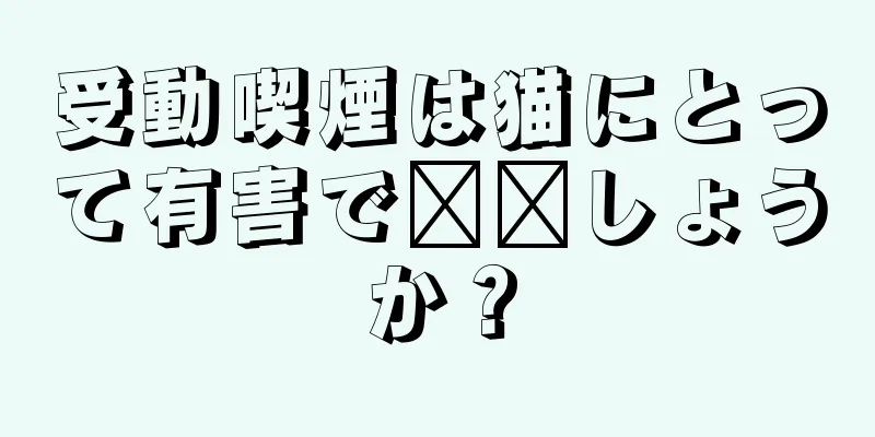 受動喫煙は猫にとって有害で​​しょうか？
