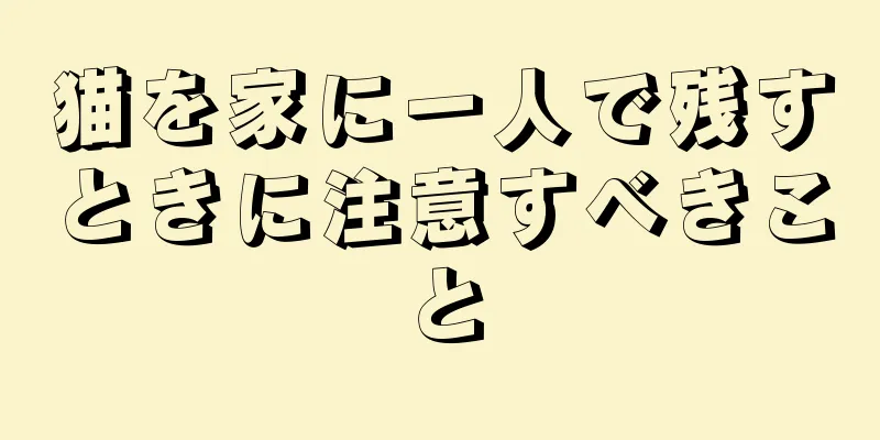 猫を家に一人で残すときに注意すべきこと