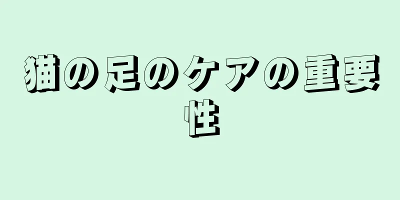 猫の足のケアの重要性