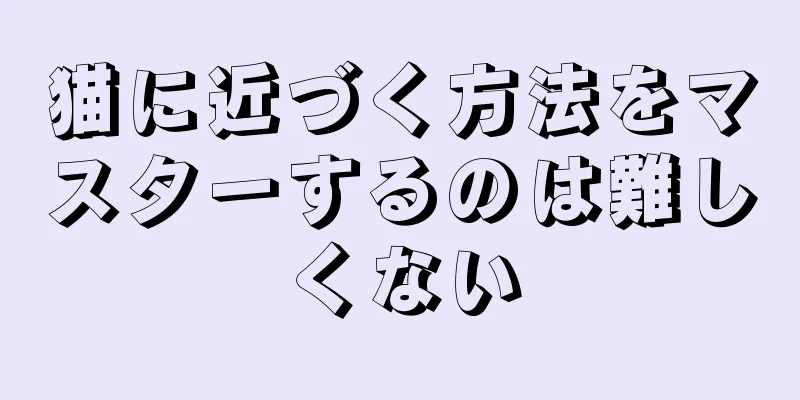 猫に近づく方法をマスターするのは難しくない