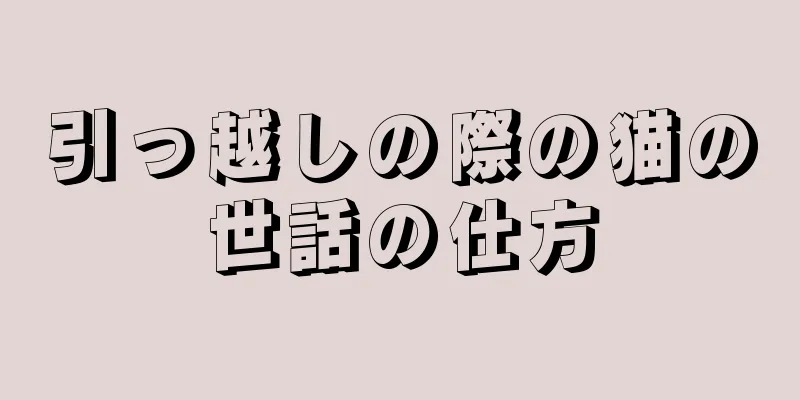 引っ越しの際の猫の世話の仕方