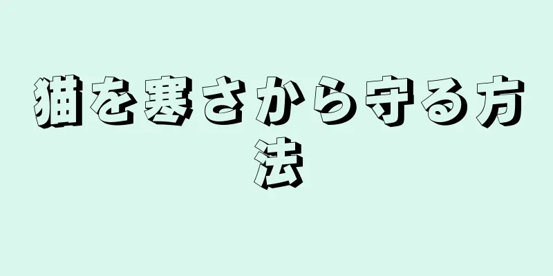 猫を寒さから守る方法