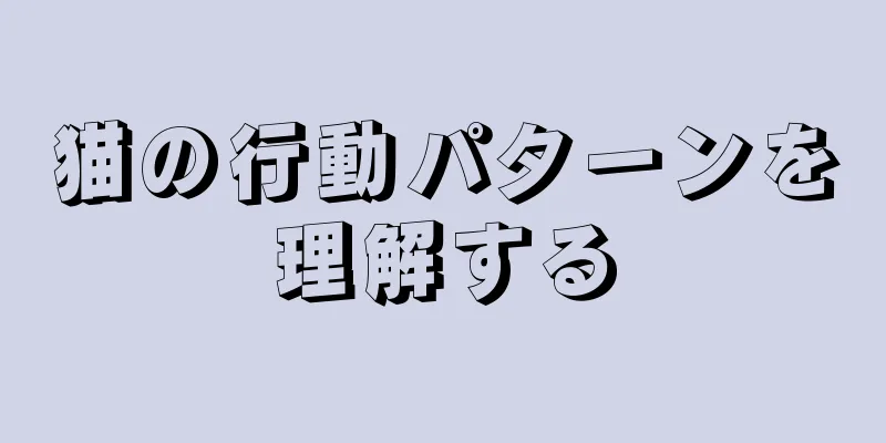 猫の行動パターンを理解する