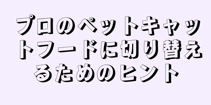 プロのペットキャットフードに切り替えるためのヒント
