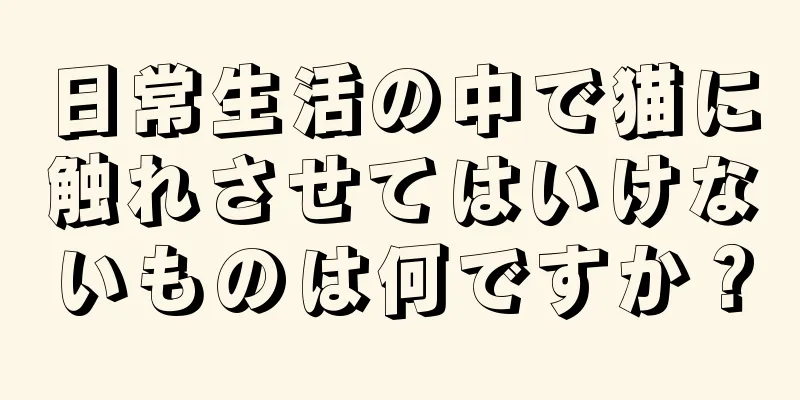 日常生活の中で猫に触れさせてはいけないものは何ですか？