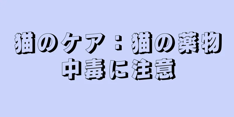 猫のケア：猫の薬物中毒に注意