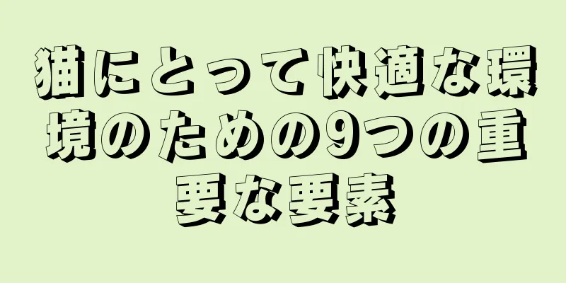 猫にとって快適な環境のための9つの重要な要素