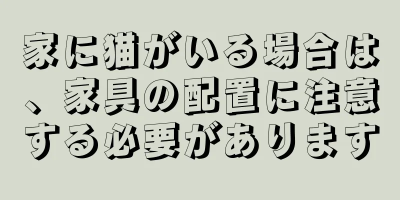 家に猫がいる場合は、家具の配置に注意する必要があります