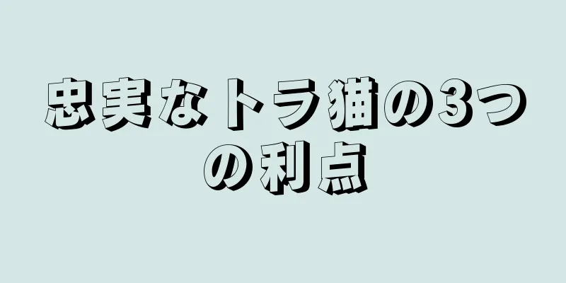 忠実なトラ猫の3つの利点