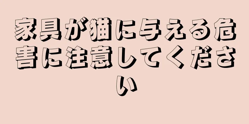 家具が猫に与える危害に注意してください