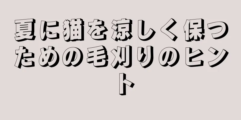 夏に猫を涼しく保つための毛刈りのヒント