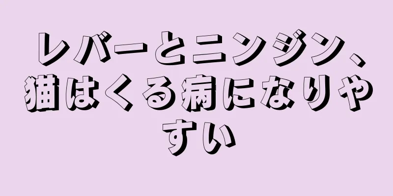 レバーとニンジン、猫はくる病になりやすい